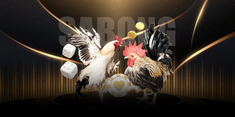 Những hình thức cược trong đá gà 99WIN